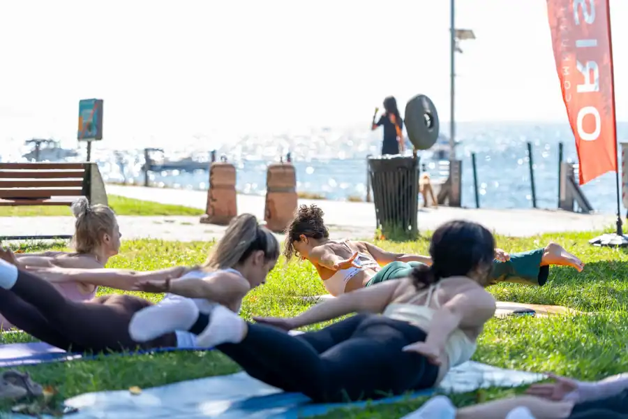 D Vitamini İçeren Besinler