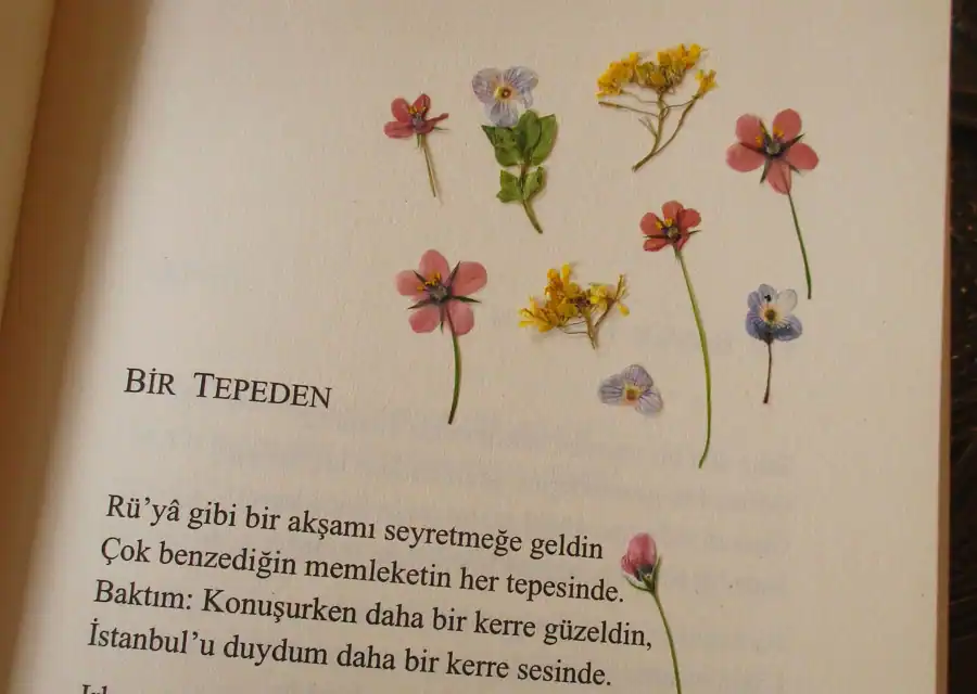 2009 Nisan