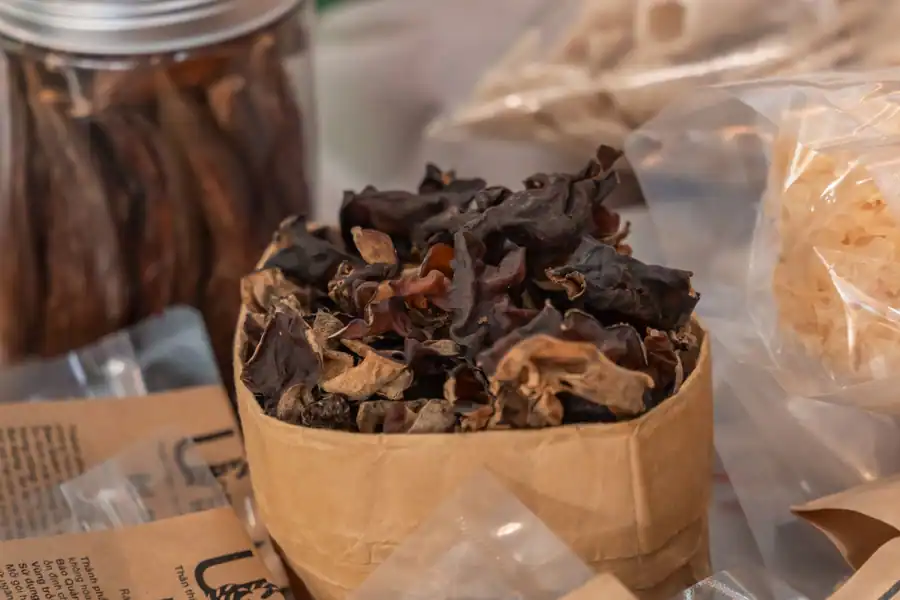 Reishi Mantarı Nedir? Reishi Mantarı Faydaları Nelerdir?