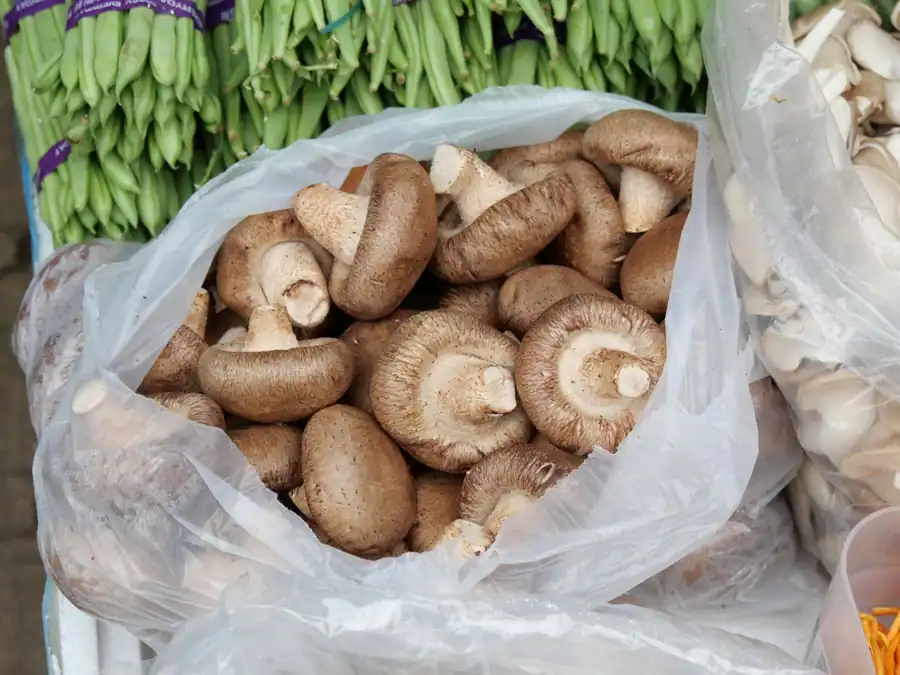 Shiitake Mantarı Faydaları Nelerdir?